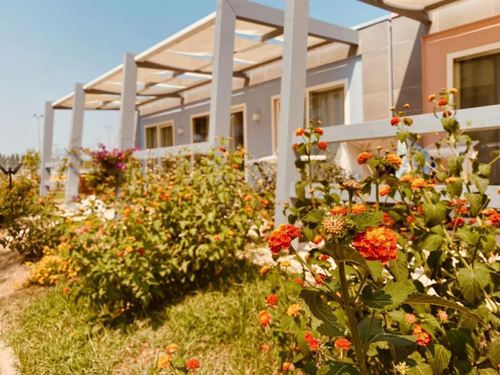 Fiori colorati nel giardino davanti alle camere del residence