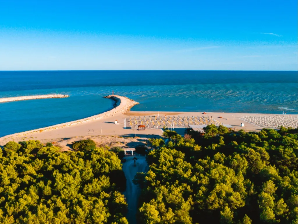 Veduta aerea della spiaggia con ombrelloni e molo tra la pineta e il mare
