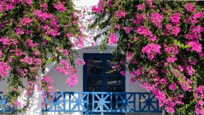 Veggera Hotel