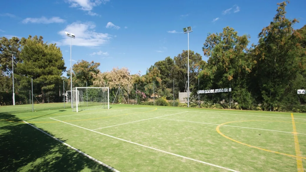 Campo sportivo in erba sintetica con porte da calcio e illuminazione, circondato da alberi