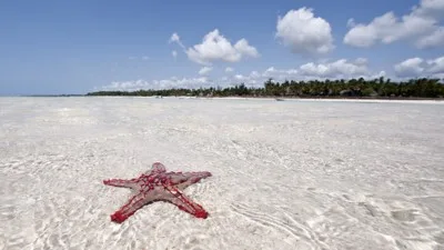 Neptune Village Beach Resort & Spa