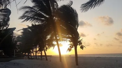Life Resort St. Thomas Royal Palm