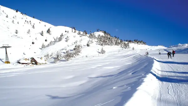 Pista da sci innevata con sciatori e impianti di risalita tra abeti e montagne
