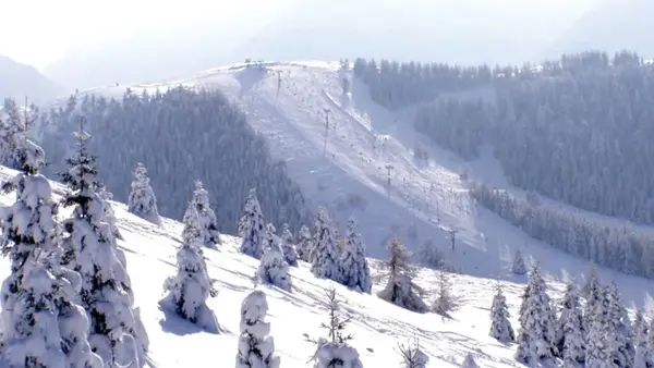 Panorama invernale con pista da sci, impianti di risalita e abeti innevati