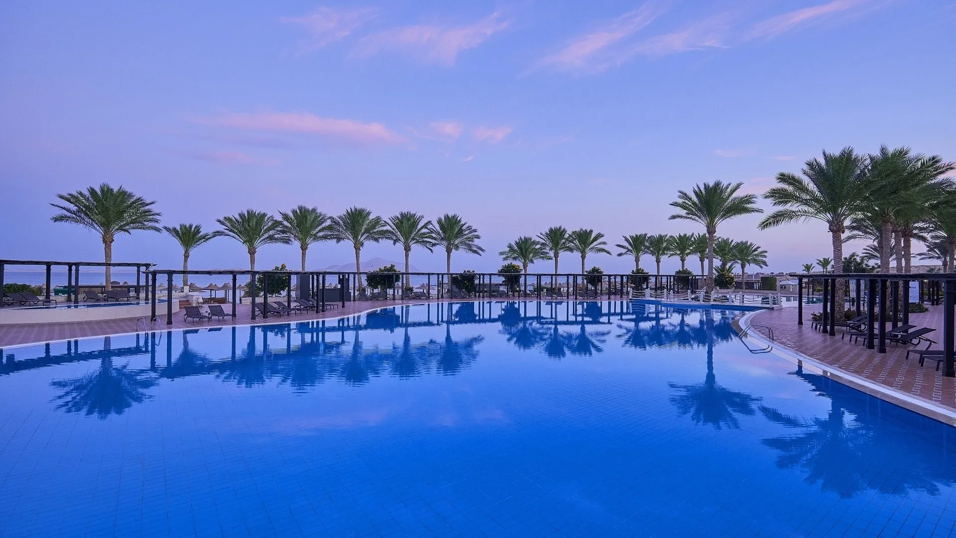Grande piscina con fila di palme riflesse nell'acqua al tramonto con cielo rosato