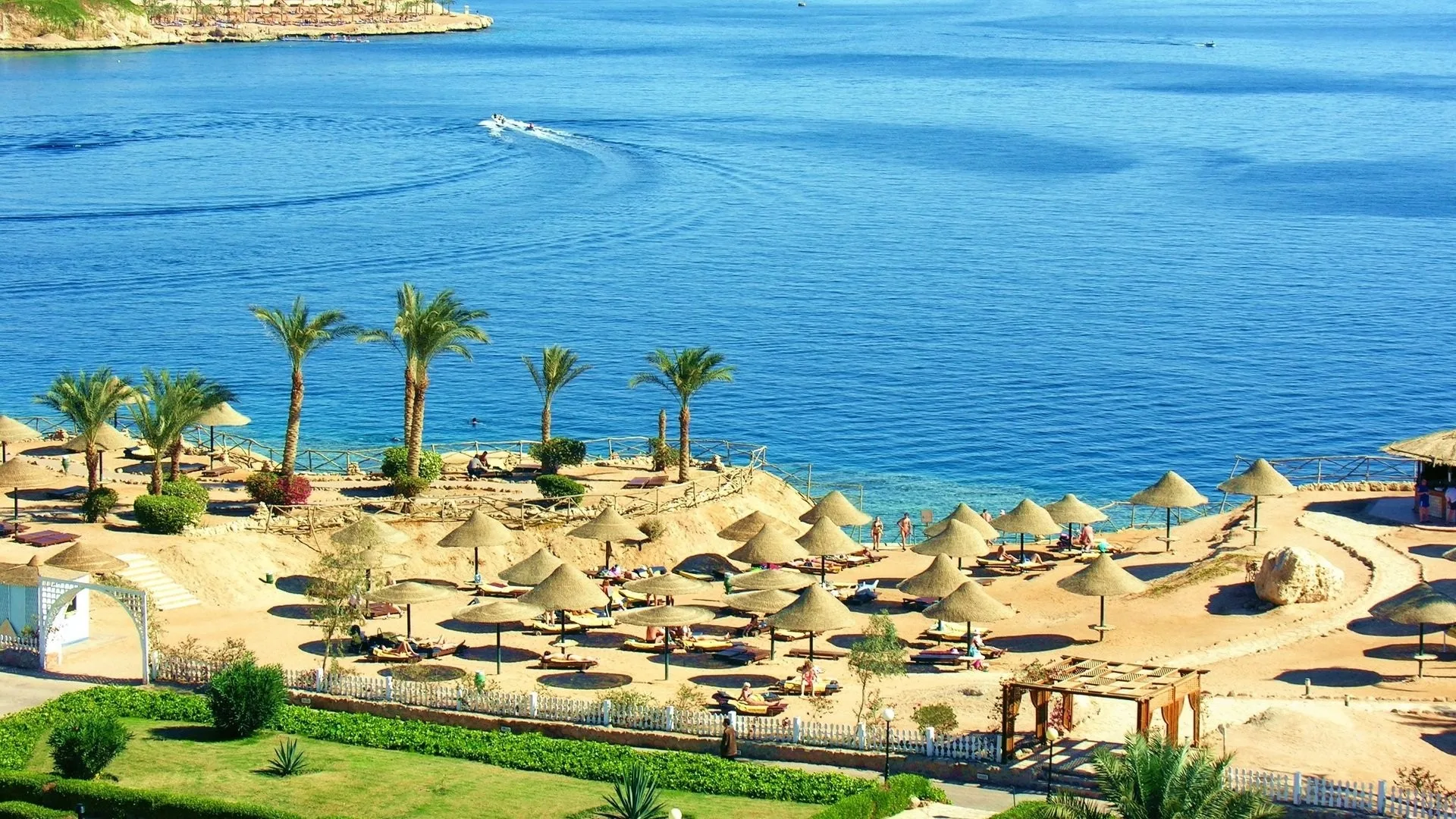 Spiaggia sabbiosa con ombrelloni di paglia e palme sul mare blu cristallino