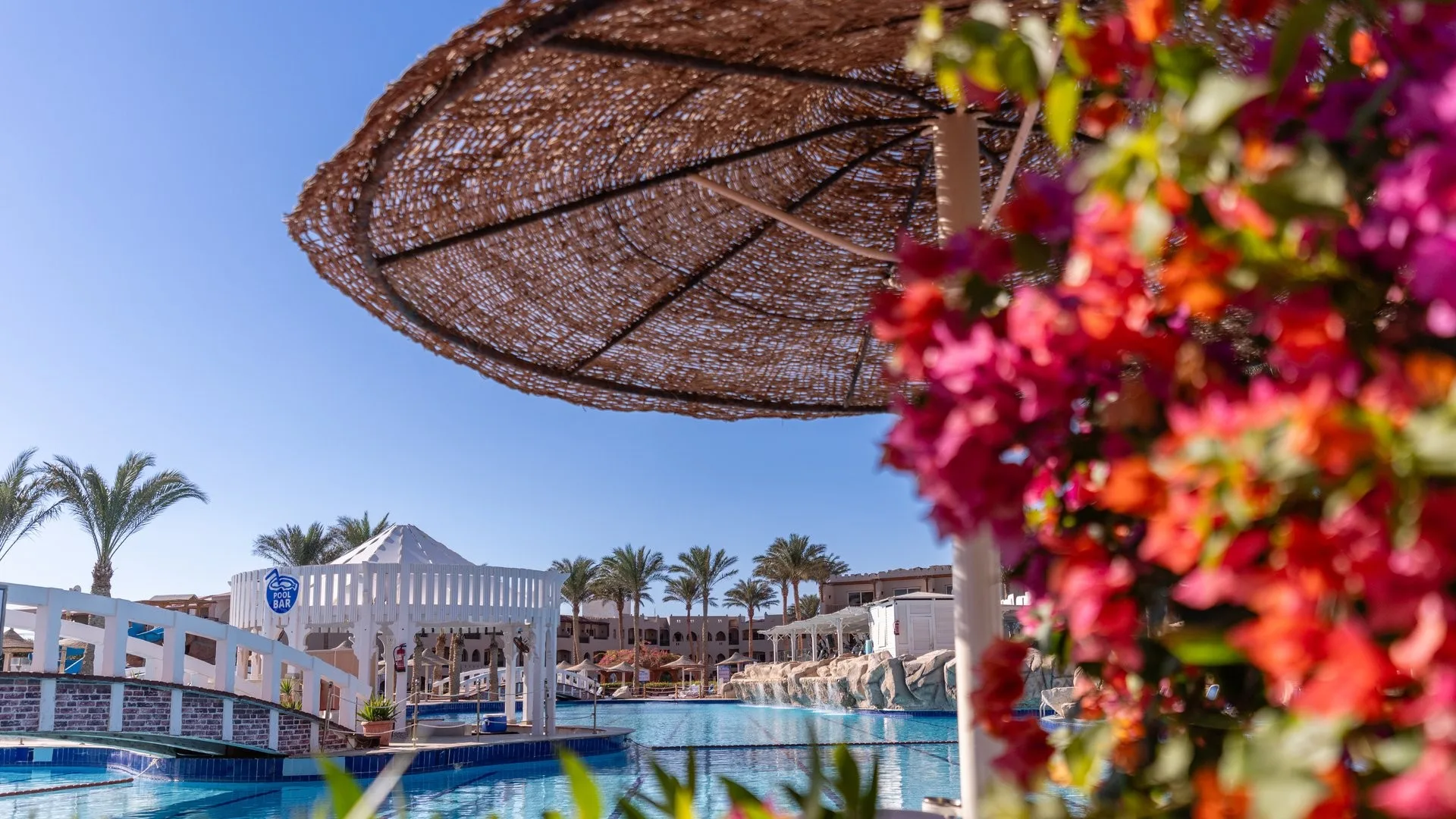 Dettaglio di ombrellone di paglia e fiori di bougainvillea con piscina sullo sfondo