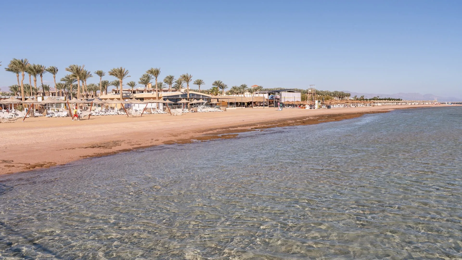 Spiaggia sabbiosa con palme e strutture del resort lungo il mare limpido
