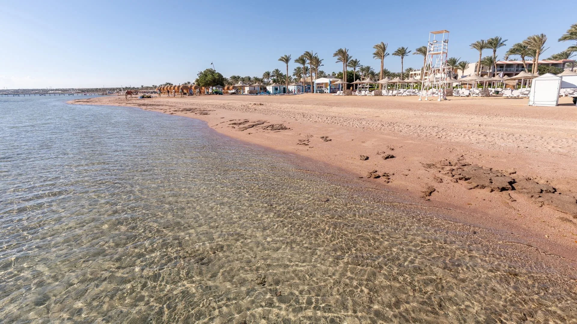 Spiaggia sabbiosa con acqua cristallina, palme e cammelli in lontananza