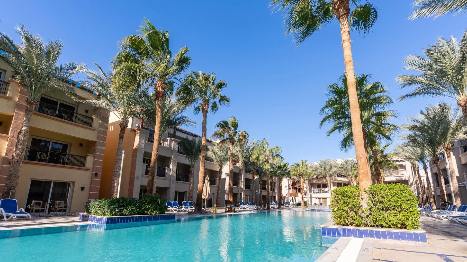 Piscina interna del resort circondata da palme ed edifici con lettini blu