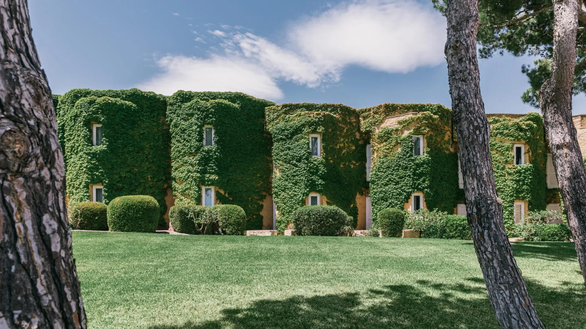 Facciata degli edifici del resort ricoperta di edera verde sul prato