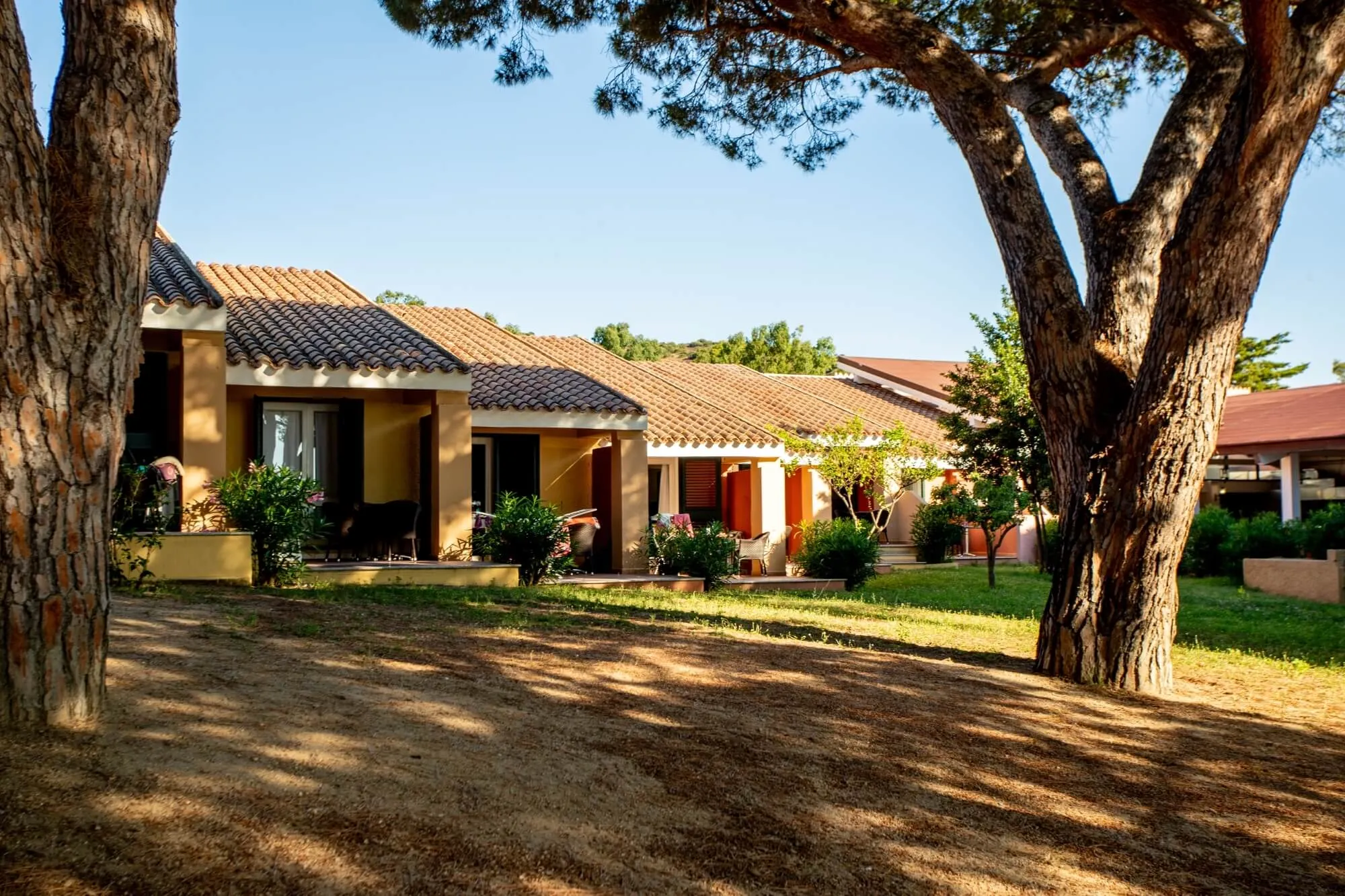 Bungalow mediterranei con verande tra pini e giardini al tramonto