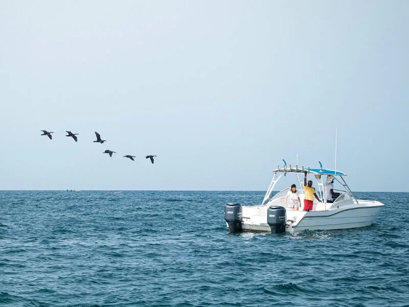 Terrou-Bi