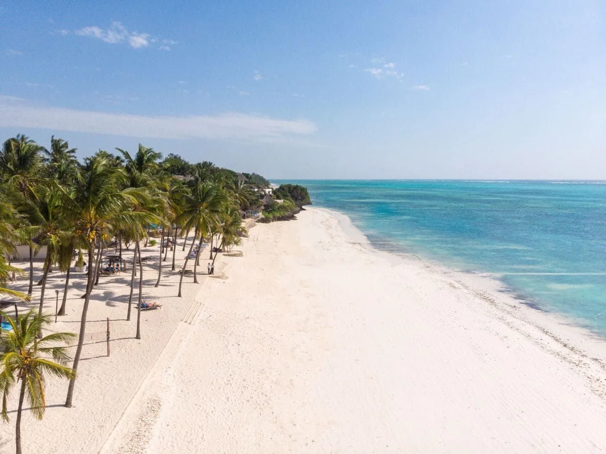 Zanzibar Karafuu