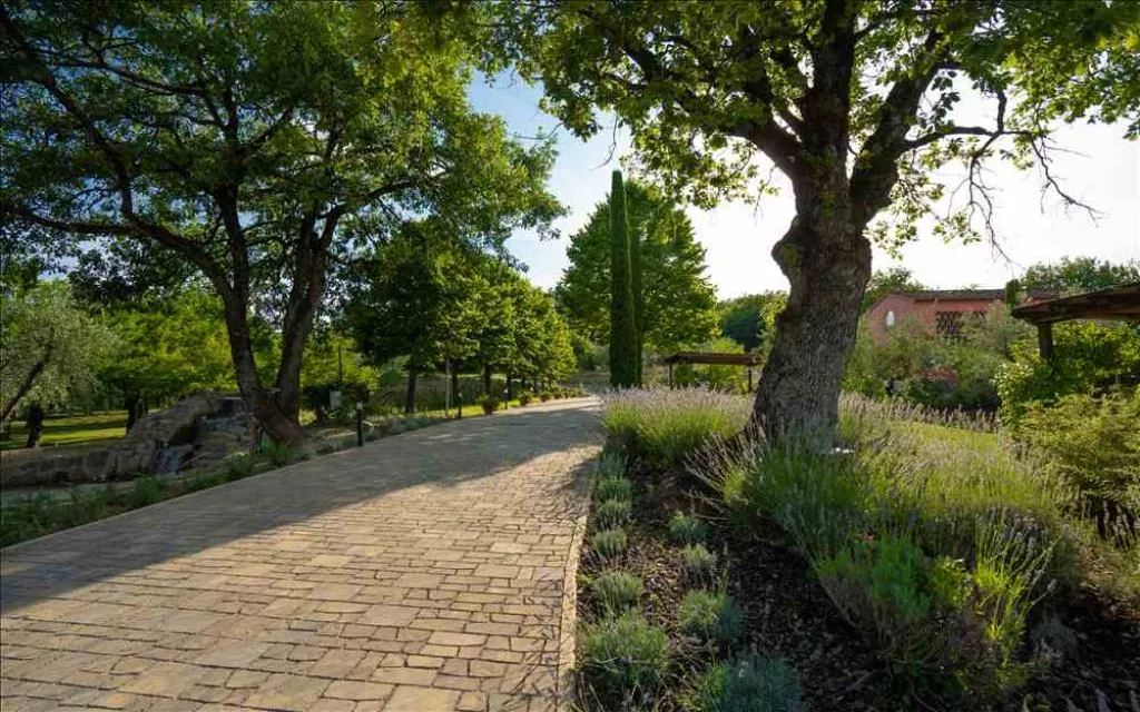 Vialetto in pietra immerso tra alberi, lavanda e verde del parco della tenuta