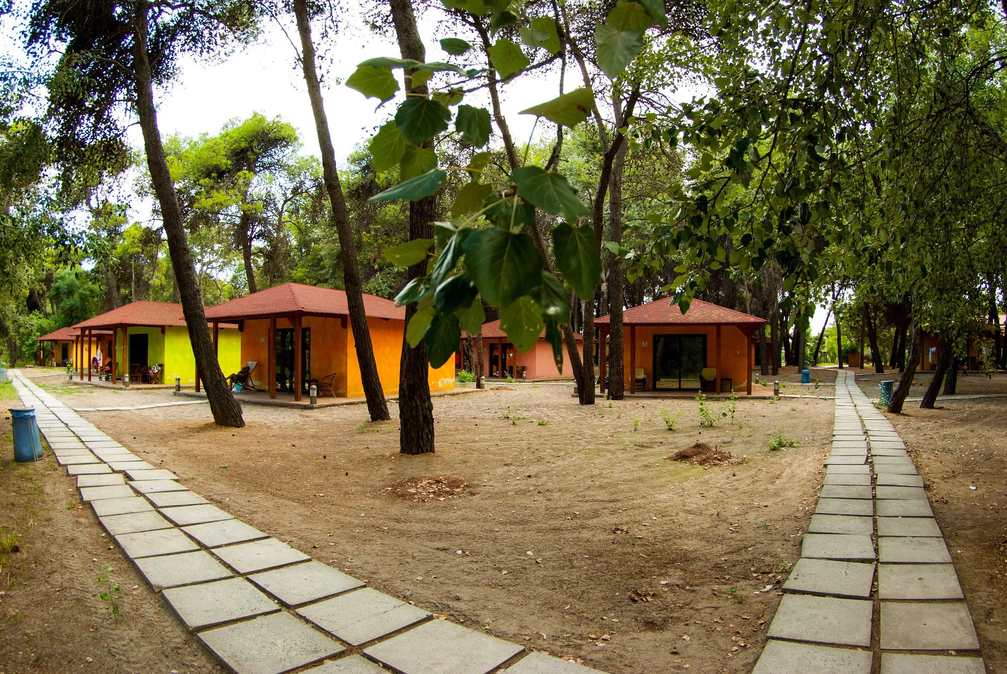 Bungalow colorati immersi nella pineta con vialetti pedonali in pietra