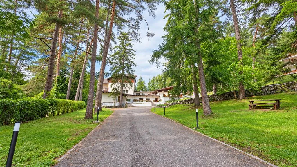 Viale d'accesso asfaltato all'hotel circondato da alberi e prati verdi