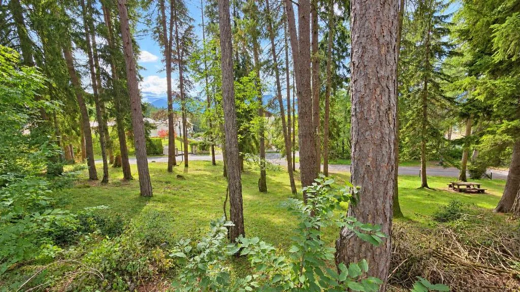 Bosco di conifere con prato verde e tavolo da picnic nei dintorni dell'hotel