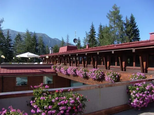 Esterno dell'hotel in legno con fioriere di gerani rosa e montagne sullo sfondo
