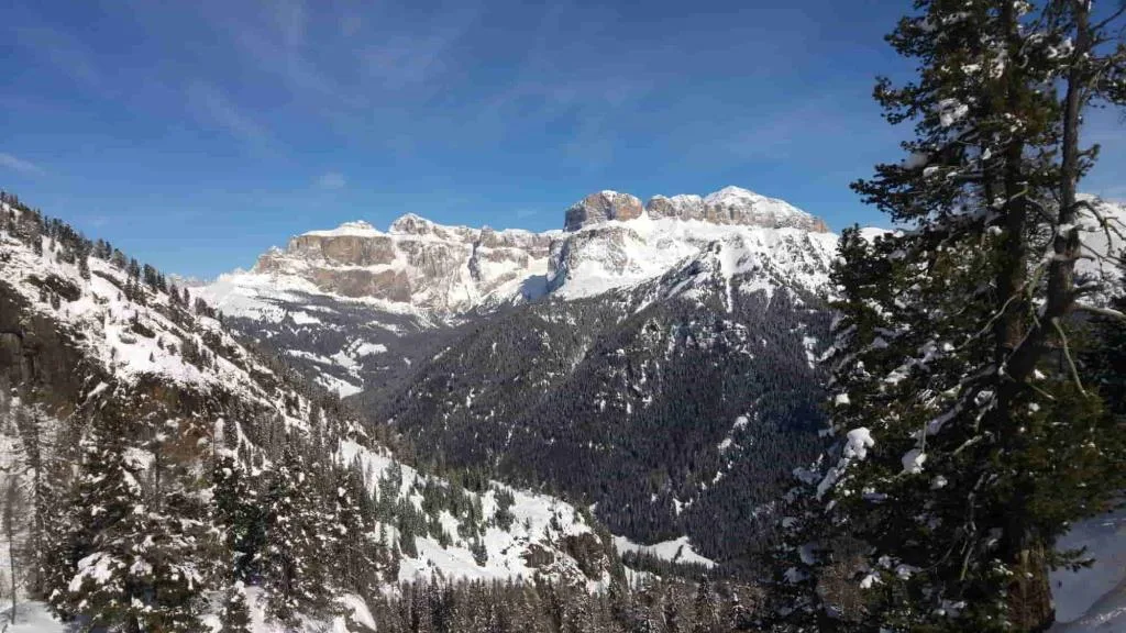 Dintorni