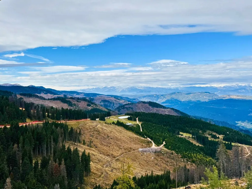 Panorama estivo delle montagne con boschi, prati e vette alpine all'orizzonte