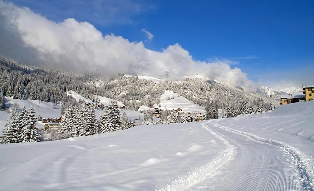 Panorama