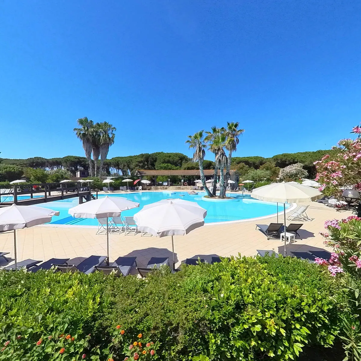 Piscina con ombrelloni bianchi e lettini circondata da giardino con fiori rosa