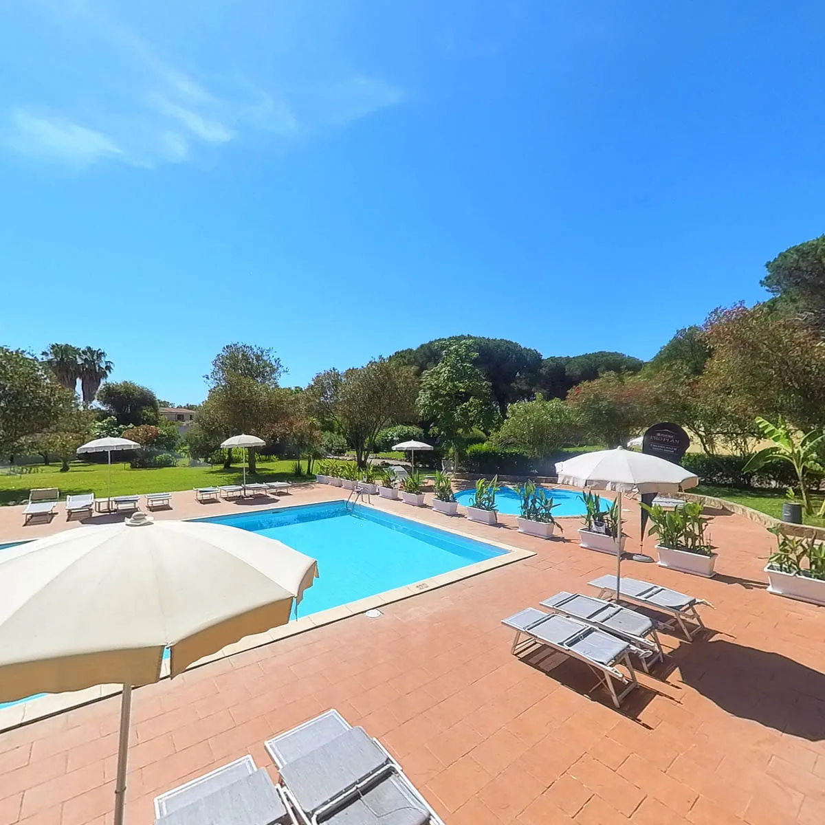 Piscina rettangolare con pavimentazione in cotto, ombrelloni bianchi e lettini circondata dal verde