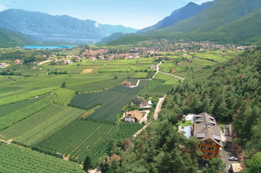 Panorama