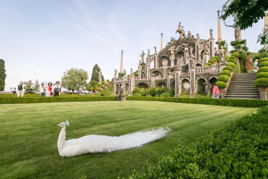 Giardino