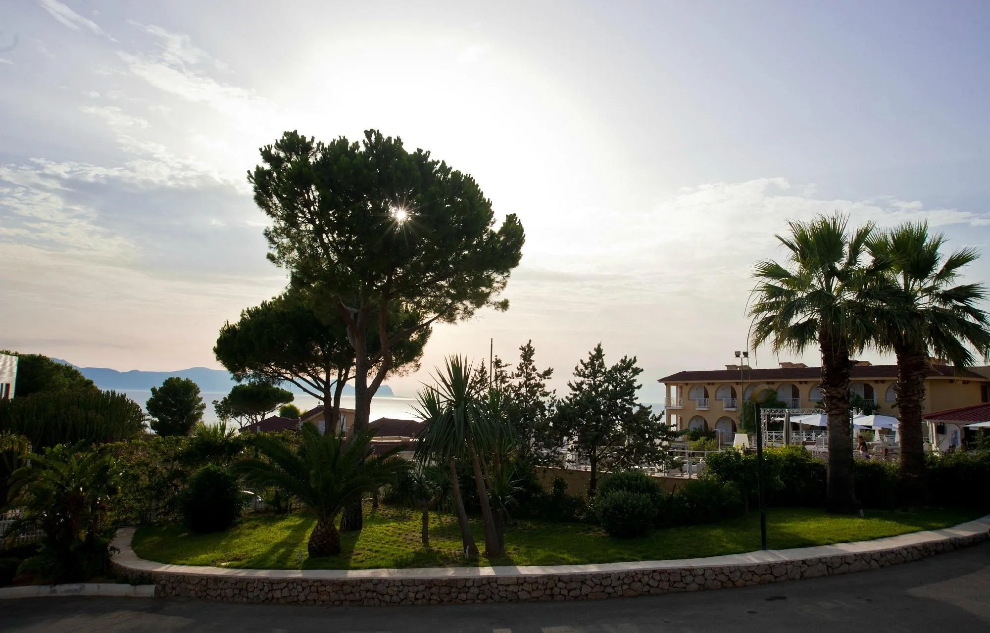 Giardino del resort con pini e palme al tramonto
